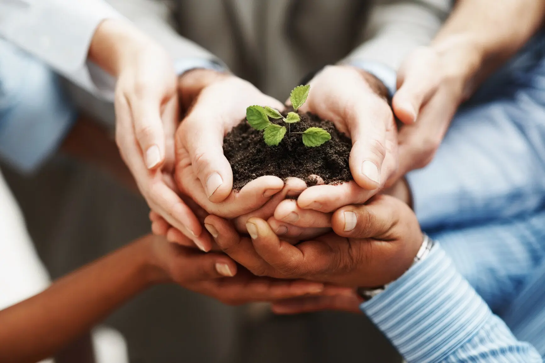 business-development-hands-holding-seedling-in-a-group-m1